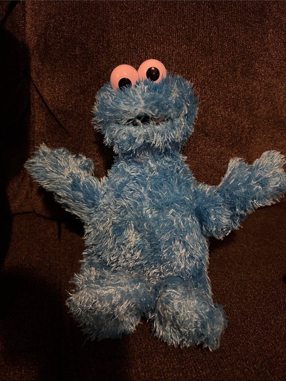 Sesame Street GUC Fuzzy Cookie Monster Plush Toy - Kids Toy
